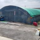 별빛한우식당 이미지