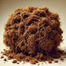 피트모스(Peat Moss ; 토탄 이끼) 이미지
