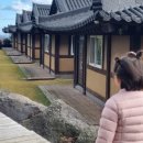 먼나머루 이미지