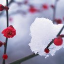 경인3목장 이미지