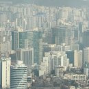도인로 이미지