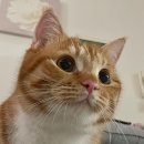 회수입구4가 서측(단) | 20220709 | 소확