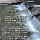 사랑으로 무릎을 낮추는 선한가치 (성천 김성수) Happy birthday 더 큰 사랑을 보며 축복하는 !! 생일 축하드립니다 #생일 이미지