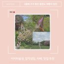 서해미술관 | 당진 가볼만한 곳 아미미술관, 합덕성당, 맛집, 카페추천