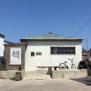 밤수지맨드라미