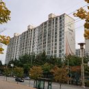 뜨란약국 이미지