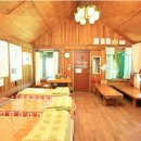 힐스템생활건강 이미지