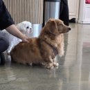 더왈츠앤조이피아 이미지