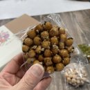 손수당 이미지
