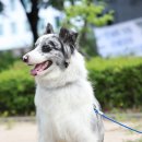 양산농장 이미지