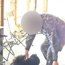 우리농원민박 이미지