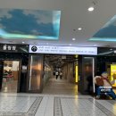 앤트짐 | 홍천 비발디파크 앤트월드 60분 선택 이유 33개월 아이 이용 꿀팁