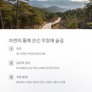 설매재 자연휴양림 무장애나눔길 네이버블로그