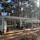 인제분식 이미지