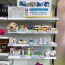 싱그런정원약국 이미지