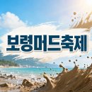 에이투제트(AtoZ) | 2026 보령머드축제 방문 전 필수! 일정, 교통, 준비물 A to Z