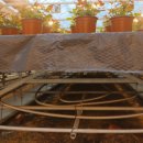 아침농장 이미지