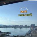 링크 늘푸른 애견호텔 | 속초호텔 가성비호텔 속초마리비스타호텔 속초해수욕장 근처 호텔