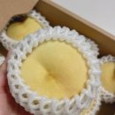 설아농장 이미지