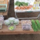 한양농장(2) 이미지