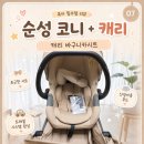 트레블24 | 임신기록#24 순성 코니+캐리 트래블 시스템 : 대구 엑스코 베이비페어 내돈내산 득템 후기 👶🍼