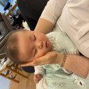 (사진 영상) 친할머니 돌봄에, 넓적다리, 조는 사진 웃겨요(2025-11-28) 이미지