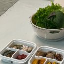 잠수기수협6호횟집 | 경주감포횟집 수협활어직판장 6호 태운수산 해산물포장 회초장집 회센터