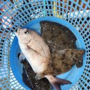 남창수산