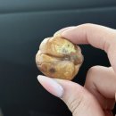 금강상회 | 2026 공주군밤축제 일정 및 프로그램 구성, 주말에 다녀온 후기