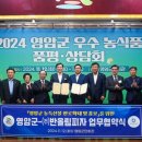 반올림피자 이미지