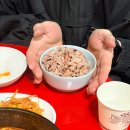 영철이네 | 인천 부평 노포 술집 추천 영철이네 포장마차 내돈내산