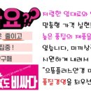 배스킨라빈스 마산합성점 네이버블로그