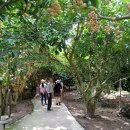 홍의동농장 이미지