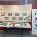 강릉원주대학교박물관 이미지