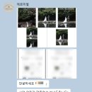 포토미엘 | 포토청첩장 제작 후기｜에르미엘