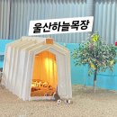 흔들목장 | [울산]울산하늘목장 강력추천!! 내돈내산 리뷰