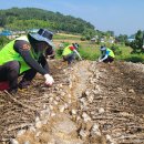 주대농장 이미지