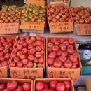 종합청과 이미지