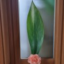 연무요양병원 이미지