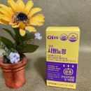 지앤바이오 | 야간뇨에는 지앤 시원뇨정으로 해결해요!