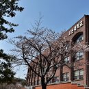 세무회계석권 | 수도권 전문대학과 지방권 4년제에 대한 고민 해결