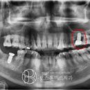 보스톤미소치과의원 이미지