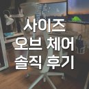 사이즈오브체어 베이직 내돈내산 후기 사무용 메쉬의자