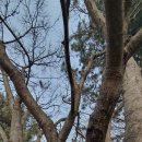 경안천습지생태공원 이미지