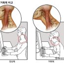 메디본 이미지