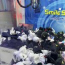 펀펀오락실 이미지