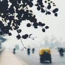 향기의 미술관 이미지