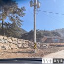십년농장 | [봉화 품은들농장 2편] 참나무 원목 표고버섯과 동충하초 농장