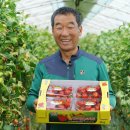 청포농장 이미지