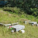 후평1리마을회관 이미지